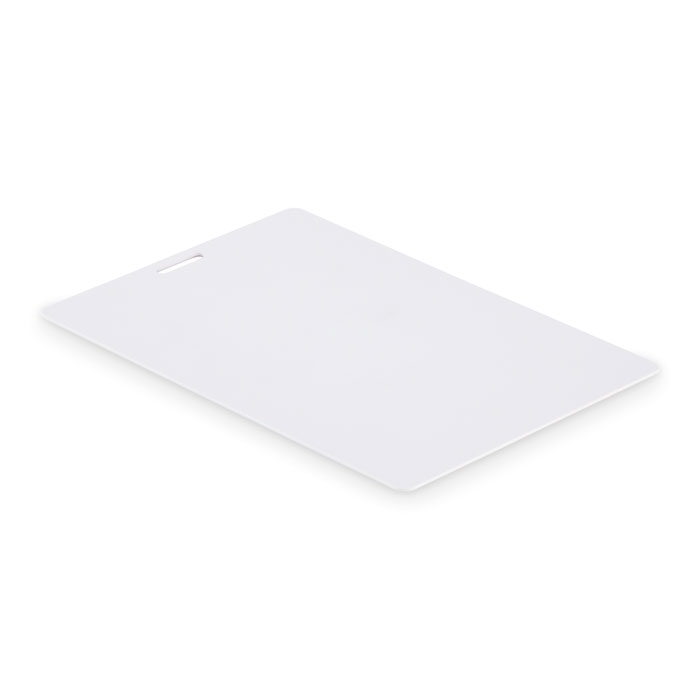 BADLARGE - Lanyard-Ausweis 120 x 80 mm